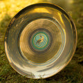 ‘Mayur Dwar’ Full Plate (10.5in)