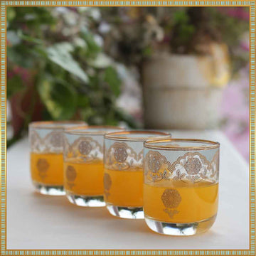 Regal Rajputana Miniatures