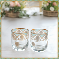 Rajputana Harmony Duo Glasses (235 ml) - Set of Two