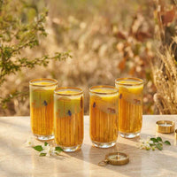Ranthambore Glasses (305 ml)