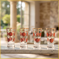 Anaar Kunj Glasses (Set of Four)