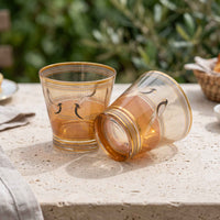 beautiful parrot with gold design pattern on tumbler glass