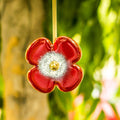 Quirky Red Flower (Small) with Brass Stem